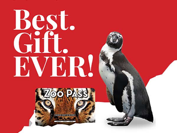 Zoological Society of Milwaukee Zoo Omni-Channel Holiday Campaign