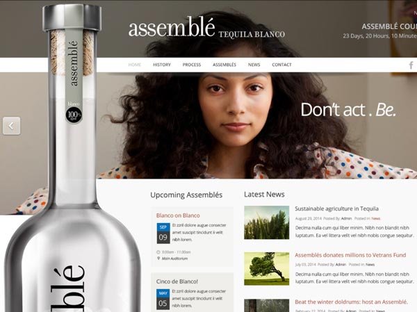 Assemble Tequila Brand Creation