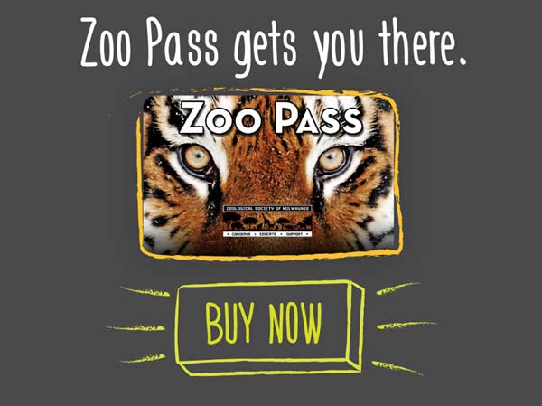 Zoological Society of Milwaukee County Zoo Integrated Omni-Channel Marketing Campaign